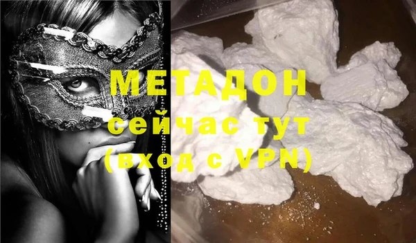 прущие грибы Балабаново