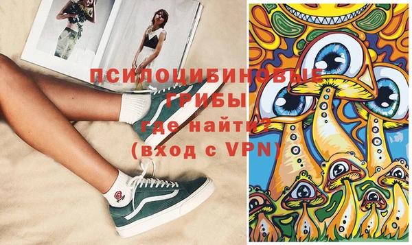 прущие грибы Балабаново
