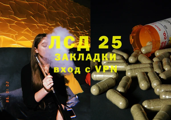 прущие грибы Балабаново
