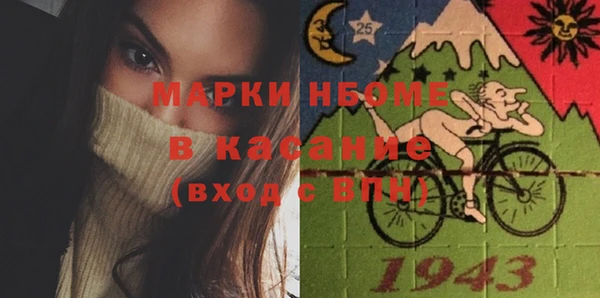 прущие грибы Балабаново